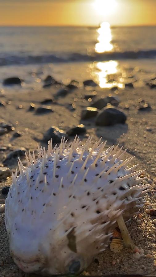 Click image for larger version  Name:	2CCB913A-006D-4F91-A55E-F78BB2C00BC7.jpeg Views:	2 Size:	57.3 KB ID:	27231