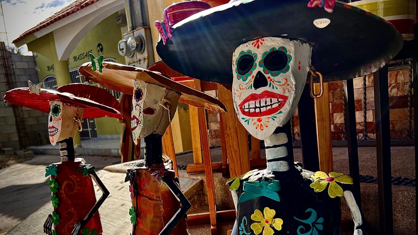 Click image for larger version

Name:	E62D6DC9-CF06-4EAA-B710-569DD0AB1565.jpeg
Views:	106
Size:	209.5 KB
ID:	27247