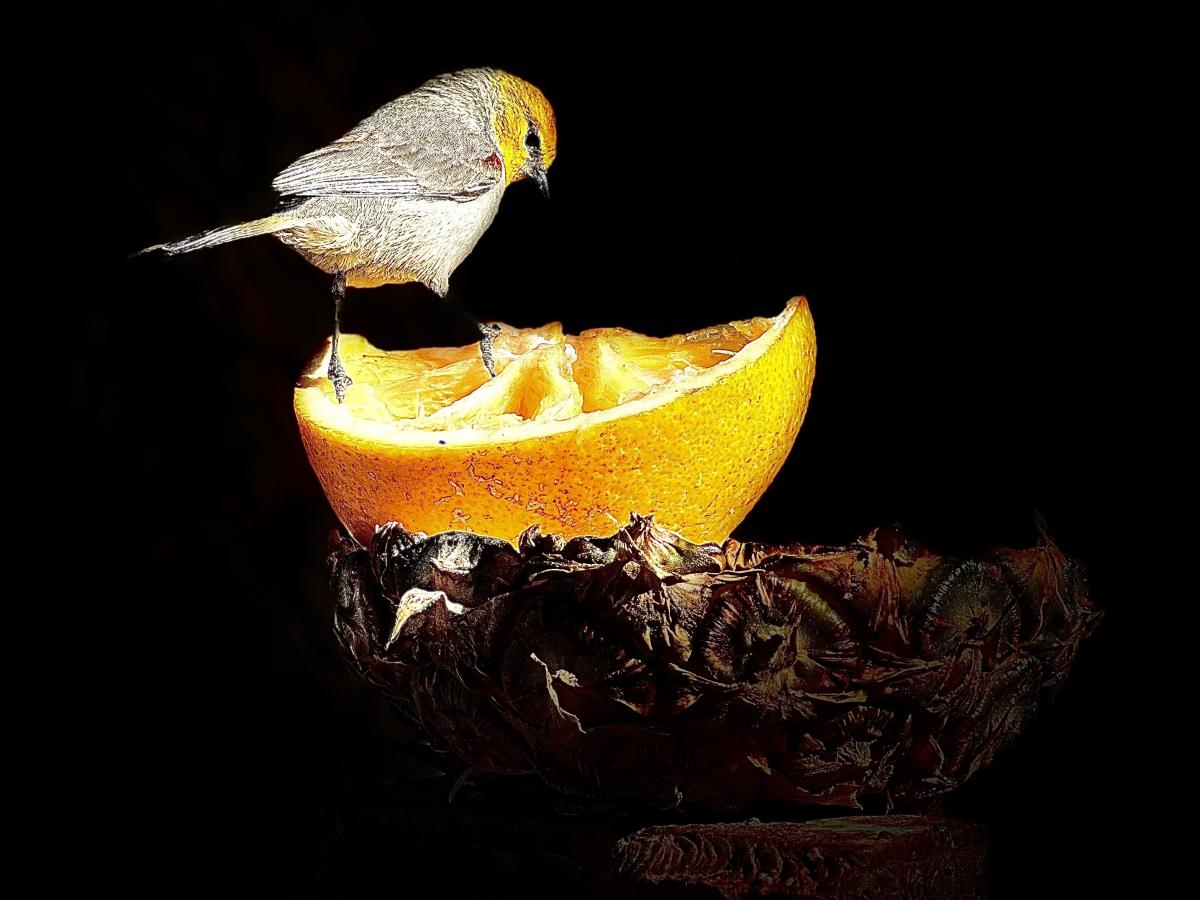 Click image for larger version

Name:	30E9807F-B6ED-4E72-99E6-C0DEB060D8C7.jpeg
Views:	96
Size:	107.2 KB
ID:	27281