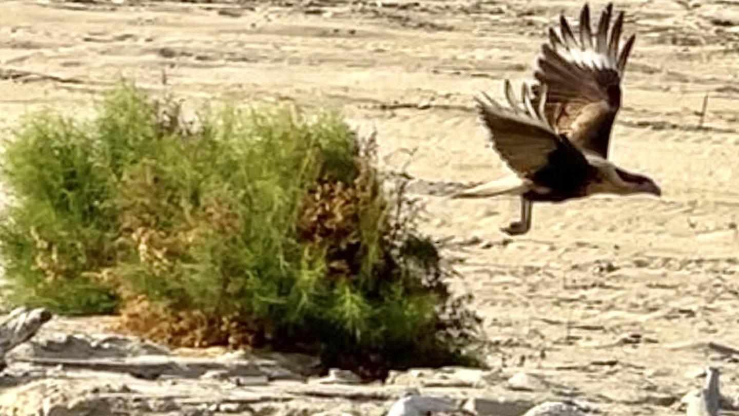 Click image for larger version

Name:	D57F9B86-657A-410B-98FD-0AC7E4DF51E4.jpeg
Views:	95
Size:	140.3 KB
ID:	27284