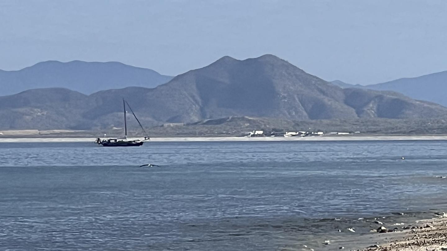 Click image for larger version

Name:	B9EC86ED-1E22-435F-94EA-4F45FCACDE08.jpeg
Views:	96
Size:	103.2 KB
ID:	27289