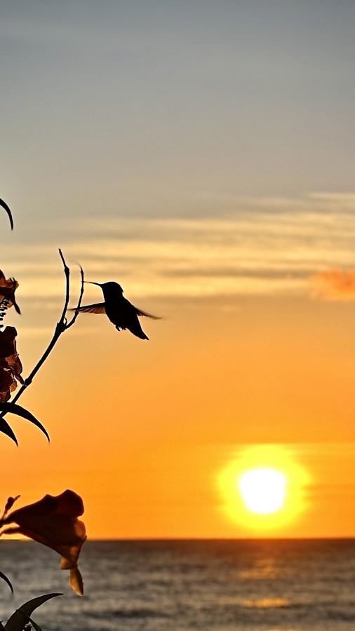 Click image for larger version  Name:	63DE3CC0-D359-4F83-BFE1-43DF3853D1A5.jpeg Views:	0 Size:	29.9 KB ID:	27347