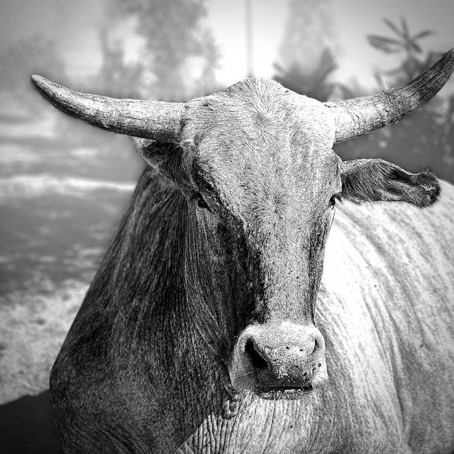 Click image for larger version  Name:	D7371D01-935E-41A3-A0A9-1EE9A5E8BC22.jpeg Views:	0 Size:	162.6 KB ID:	27345