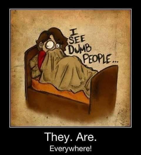 Click image for larger version

Name:	FB_IMG_1676597091506.jpg
Views:	71
Size:	39.5 KB
ID:	27540