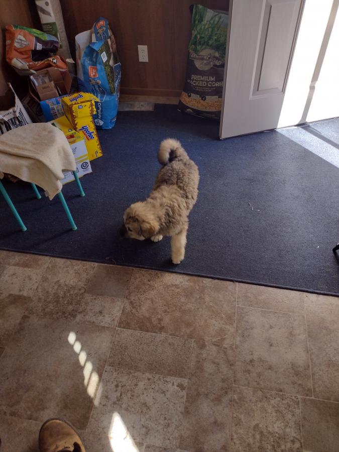 Click image for larger version

Name:	IMG_20230218_121631263_HDR.jpg
Views:	43
Size:	79.6 KB
ID:	27567