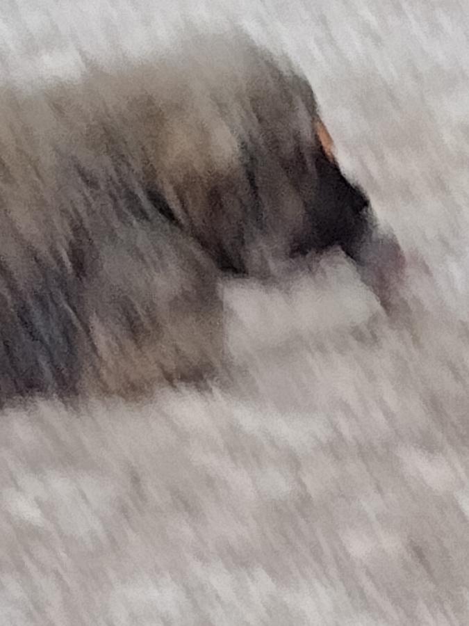 Click image for larger version

Name:	IMG_20230218_122104402.jpg
Views:	41
Size:	62.5 KB
ID:	27569