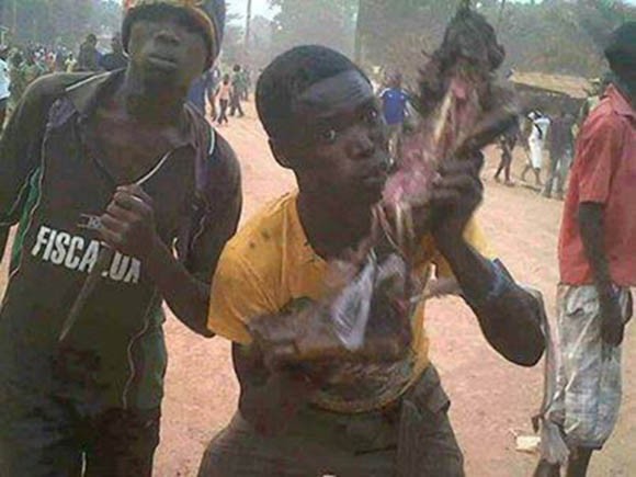 Click image for larger version

Name:	animals.jpg
Views:	42
Size:	54.9 KB
ID:	27610