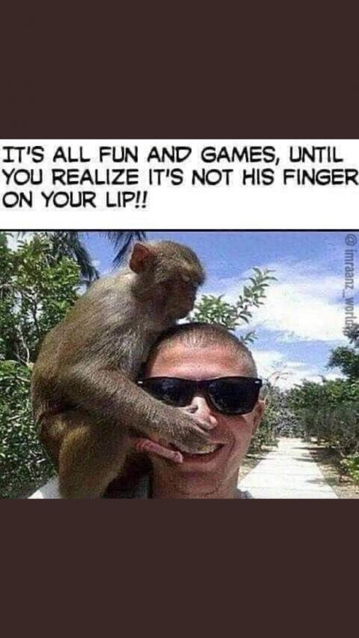 Click image for larger version

Name:	DB04580C-70AD-4990-89F2-3C3CCEAE3CDF.jpeg
Views:	90
Size:	55.6 KB
ID:	27665