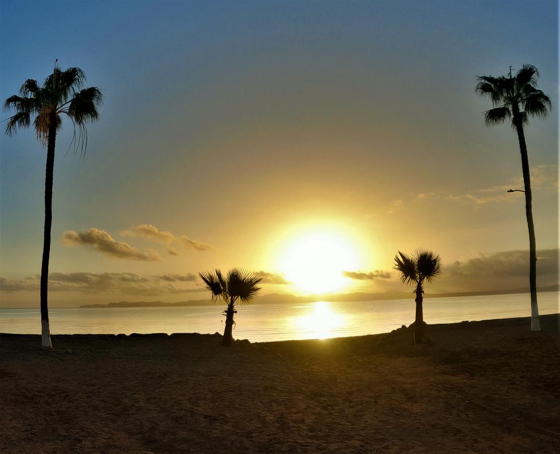 Click image for larger version

Name:	GOPR0963.JPG
Views:	131
Size:	83.9 KB
ID:	27730