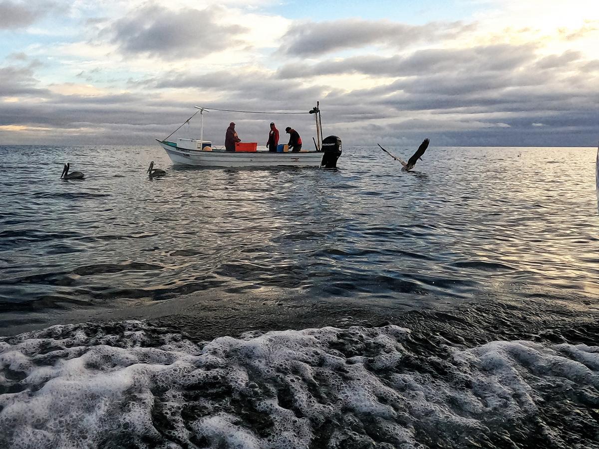 Click image for larger version

Name:	image_6540.jpg
Views:	144
Size:	254.2 KB
ID:	27734