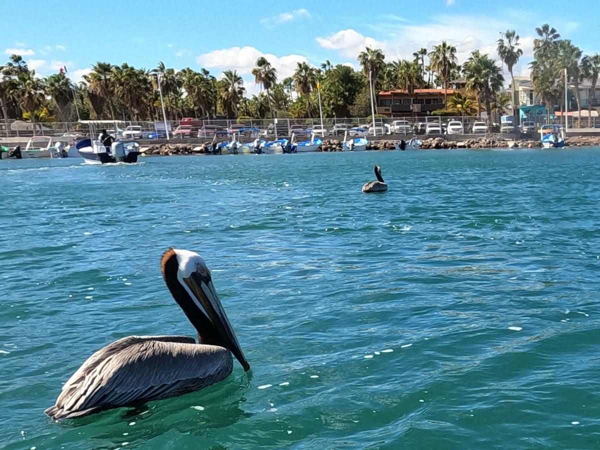 Click image for larger version  Name:	GOPR0922.JPG Views:	0 Size:	209.9 KB ID:	27735