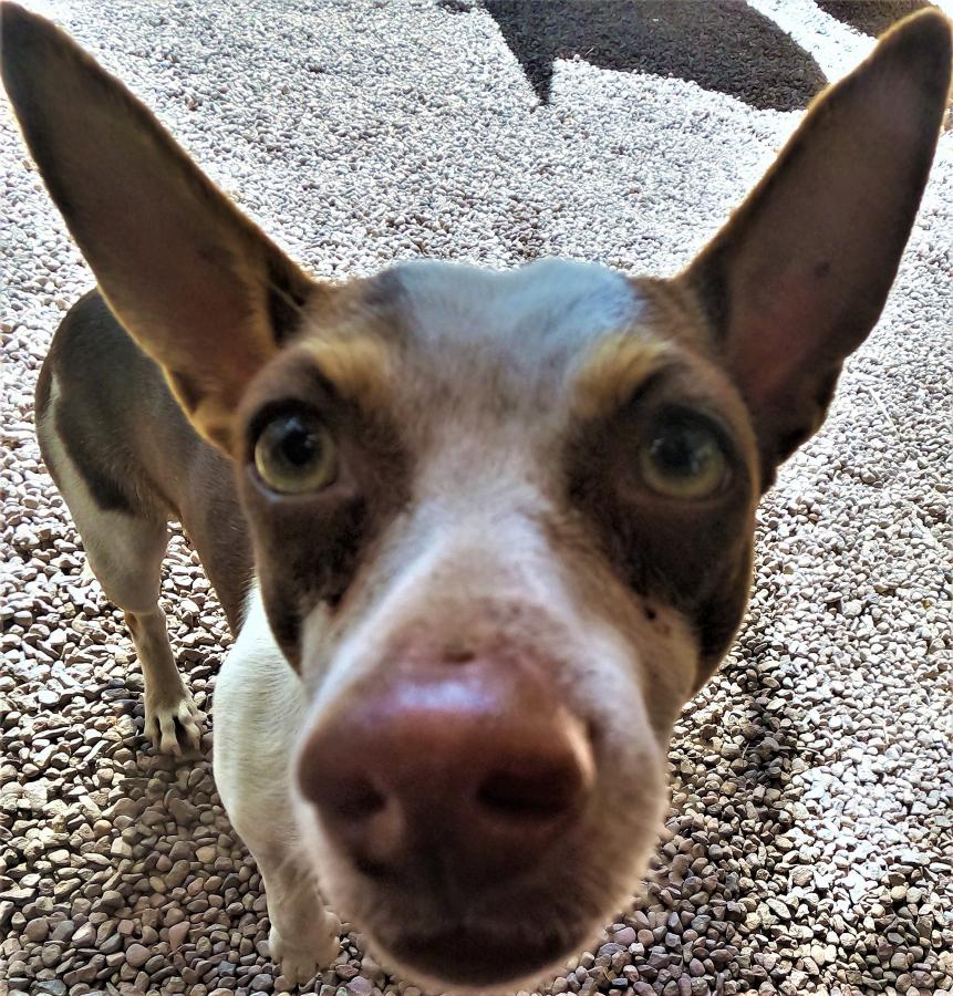 Click image for larger version  Name:	GOPR0946.JPG Views:	0 Size:	190.1 KB ID:	27736