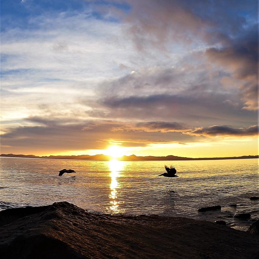 Click image for larger version  Name:	GH011011 - 6.jpg Views:	0 Size:	114.8 KB ID:	27739