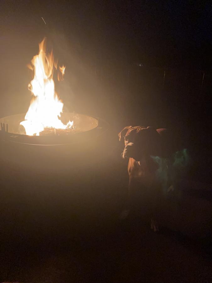 Click image for larger version

Name:	5A959329-5318-4CCA-A7A2-4E59745B7F23.jpeg
Views:	80
Size:	34.5 KB
ID:	27801