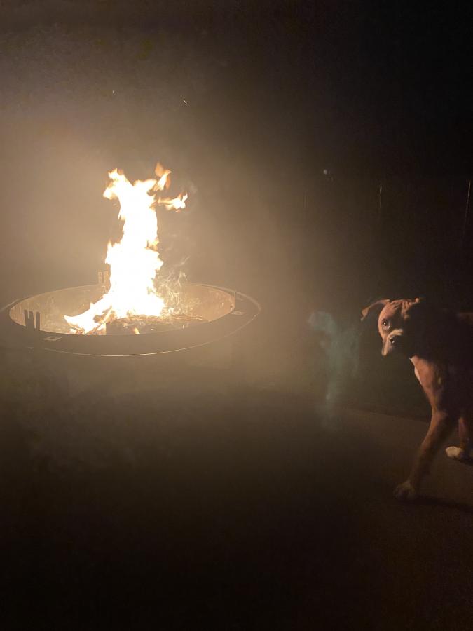 Click image for larger version

Name:	1EEBE100-6200-4DDE-A7D6-BBCCF4FCA178.jpeg
Views:	80
Size:	29.5 KB
ID:	27802