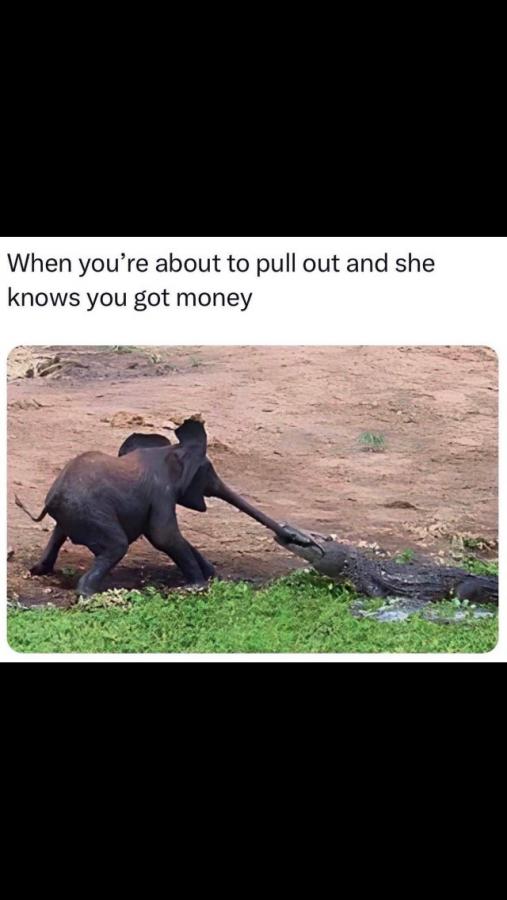 Click image for larger version

Name:	23A08866-A2DD-427D-A4F5-F95EC91C5717.jpeg
Views:	110
Size:	46.0 KB
ID:	27852