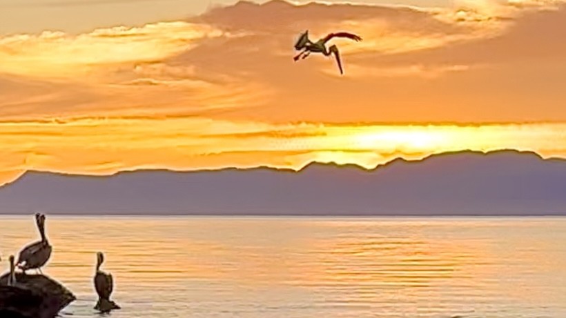 Click image for larger version

Name:	20103BB2-B93B-4FD6-AFFC-55BF2B92AF93.jpeg
Views:	108
Size:	58.1 KB
ID:	27898