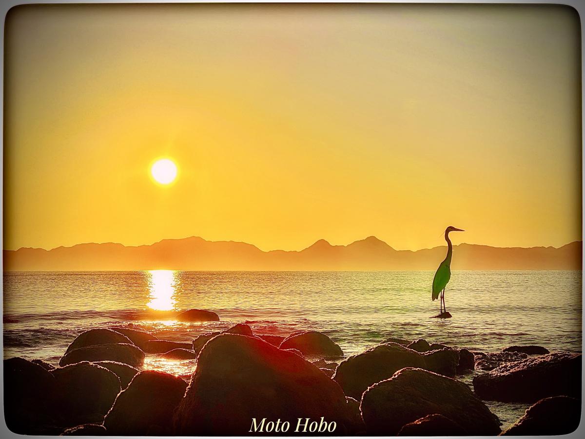 Click image for larger version

Name:	3D1462CA-470F-4589-BED1-CA3779B31ECD.jpeg
Views:	110
Size:	118.3 KB
ID:	27899