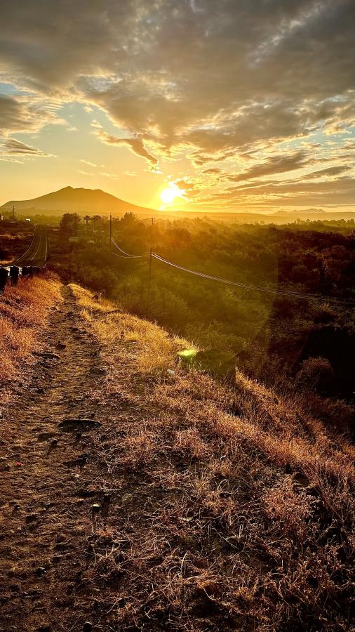 Click image for larger version

Name:	422B1B57-EE46-4DD4-A0FD-FF37AC91955F.jpeg
Views:	103
Size:	115.0 KB
ID:	27907