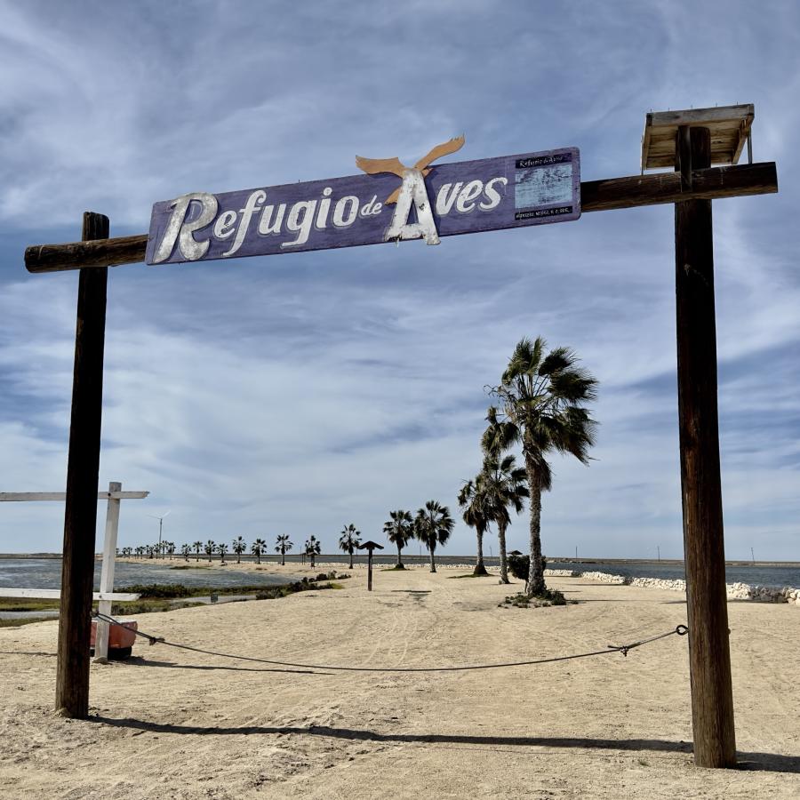 Click image for larger version

Name:	902DAAD7-A83A-4C3C-8204-2BE7BAE4C588.jpeg
Views:	115
Size:	115.1 KB
ID:	27913