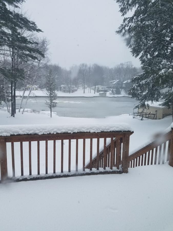 Click image for larger version

Name:	20230325_161653.jpg
Views:	180
Size:	85.0 KB
ID:	27940