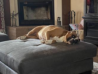 Click image for larger version

Name:	F90ADC0E-990C-49E2-BD85-5F0728136CA0.jpeg
Views:	211
Size:	144.3 KB
ID:	27955