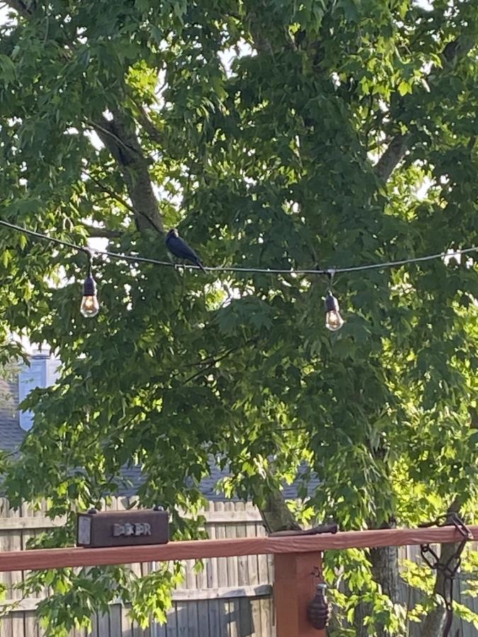 Click image for larger version

Name:	9ADCE96B-0594-4C07-ADD0-A7340465FD0F.jpeg
Views:	145
Size:	141.6 KB
ID:	28030