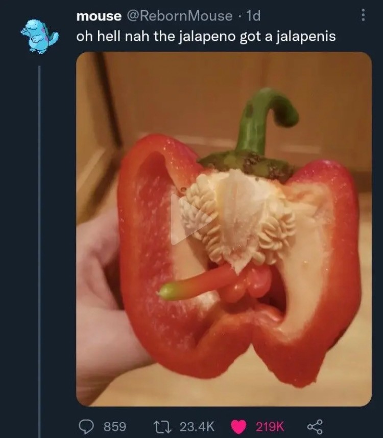 Click image for larger version

Name:	4664.jpeg
Views:	123
Size:	76.0 KB
ID:	28098