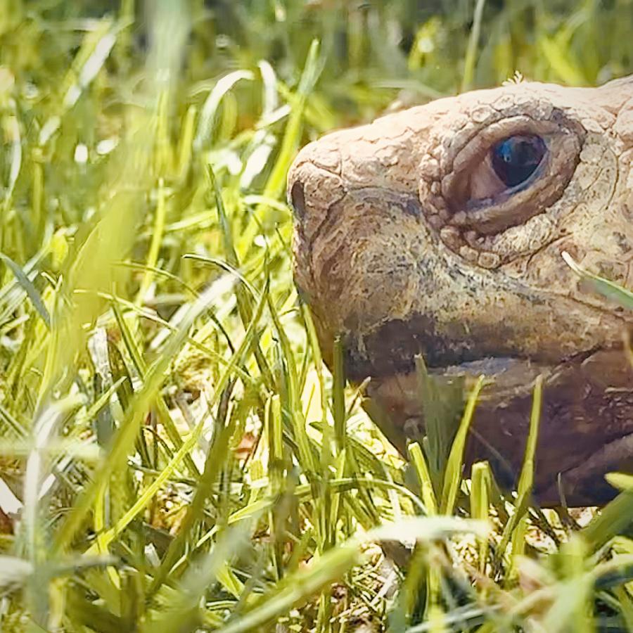 Click image for larger version

Name:	34016560-B6E5-490D-BF5B-BF89326F2EB5.jpeg
Views:	82
Size:	136.5 KB
ID:	28320