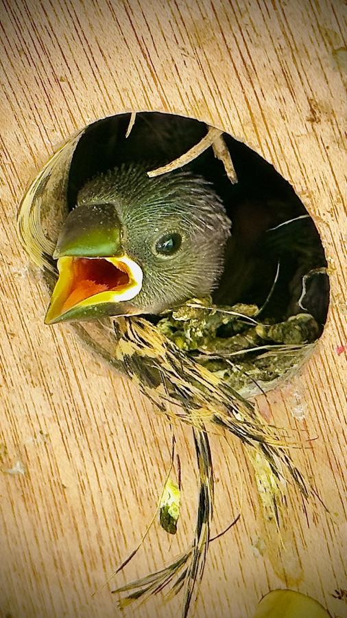 Click image for larger version

Name:	1C46B985-86D4-4F16-8E8F-B90962FD7D65.jpeg
Views:	79
Size:	117.7 KB
ID:	28321