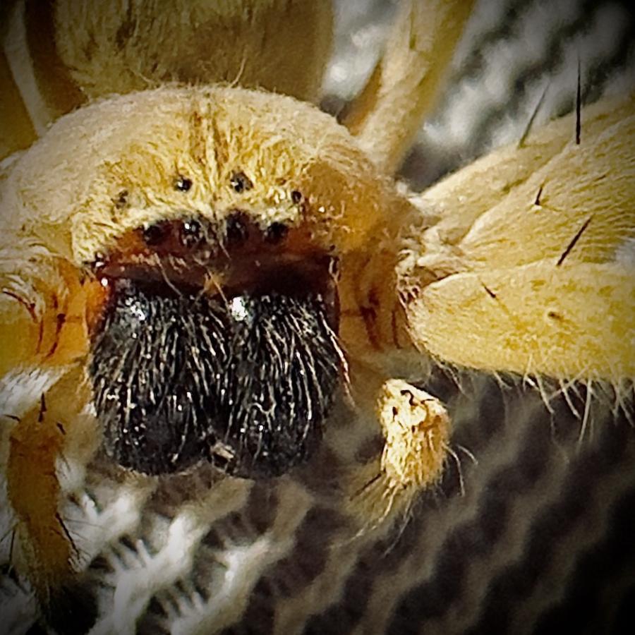 Click image for larger version  Name:	image_6721.jpg Views:	3 Size:	114.6 KB ID:	28325