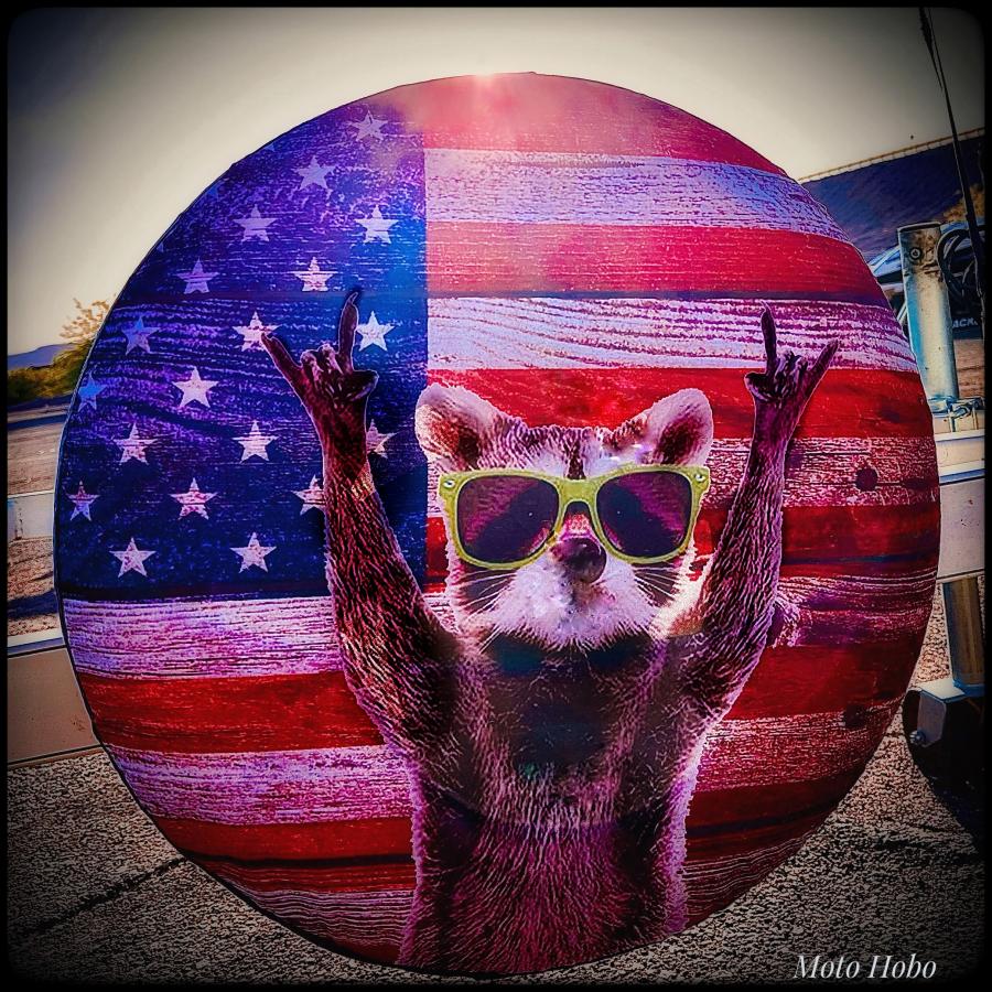 Click image for larger version  Name:	image_6724.jpg Views:	3 Size:	200.3 KB ID:	28328