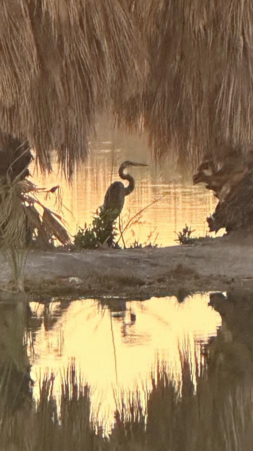 Click image for larger version

Name:	91690F06-4C25-4213-9980-DCC90686D835.jpeg
Views:	86
Size:	69.6 KB
ID:	28333