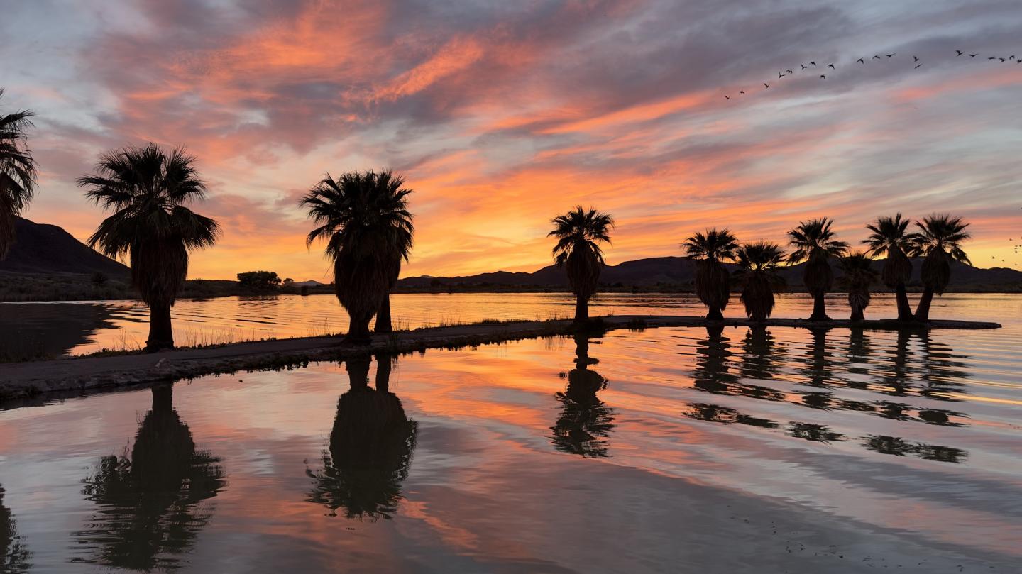 Click image for larger version

Name:	0659EA27-9856-4B80-B7A4-8E13D75178C9.jpeg
Views:	84
Size:	138.8 KB
ID:	28332