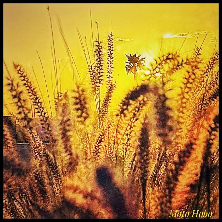 Click image for larger version

Name:	2A23B562-7E7D-48DE-8237-378B0B6F9A81.jpeg
Views:	82
Size:	179.1 KB
ID:	28336