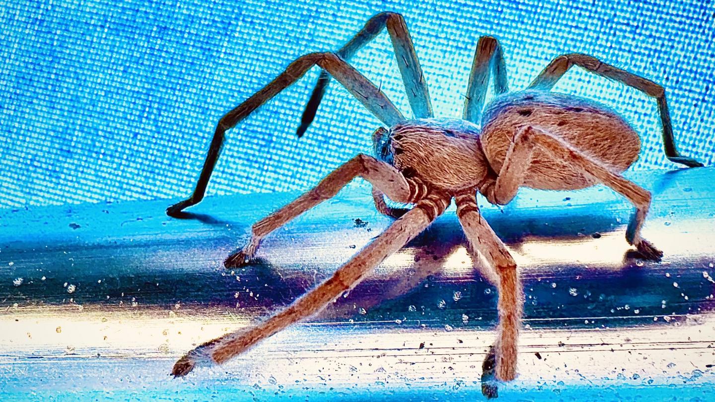 Click image for larger version

Name:	F3259A51-EF47-444D-A1BE-4101EE0C1214.jpeg
Views:	78
Size:	305.9 KB
ID:	28337