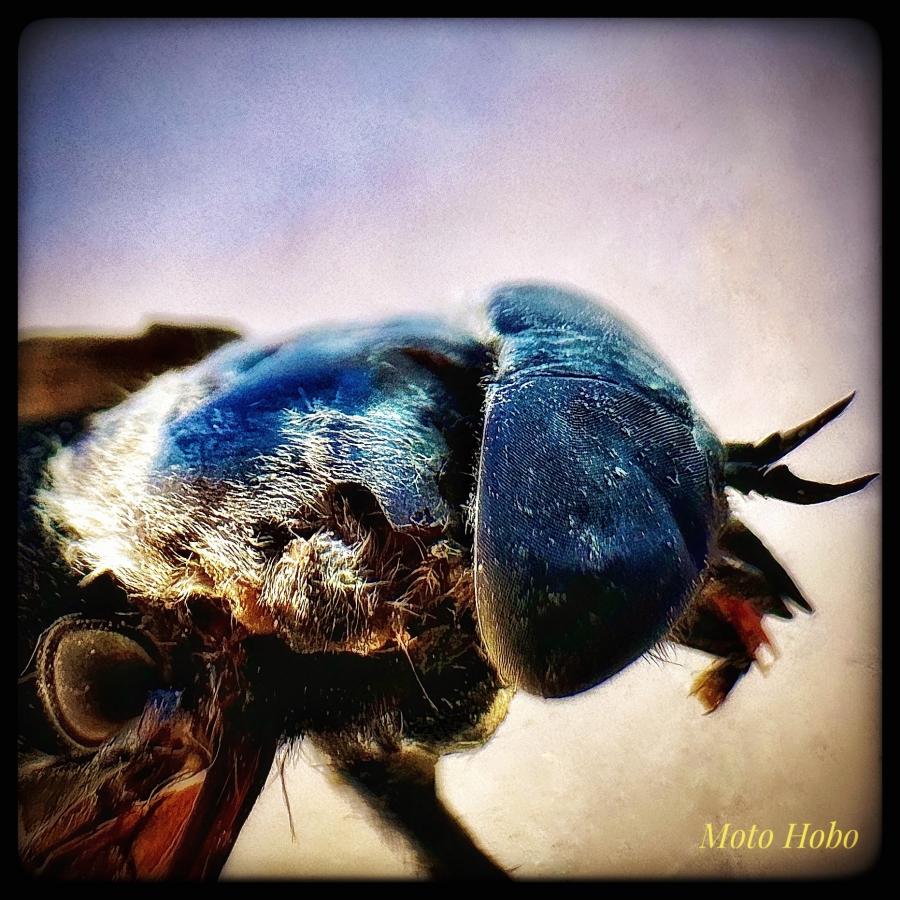 Click image for larger version

Name:	9F31F7D6-25AF-4BB6-AC4F-A0239F8152ED.jpeg
Views:	83
Size:	136.8 KB
ID:	28339