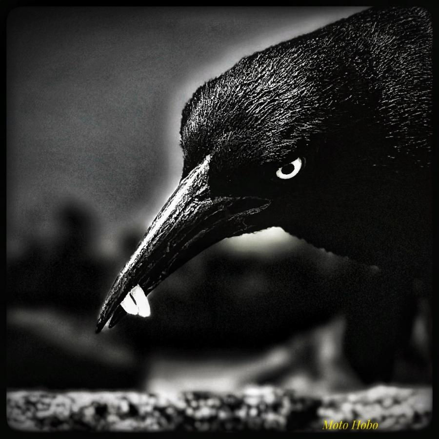 Click image for larger version

Name:	25B1522C-EC67-4BB1-85ED-C370C512C737.jpeg
Views:	83
Size:	101.6 KB
ID:	28340