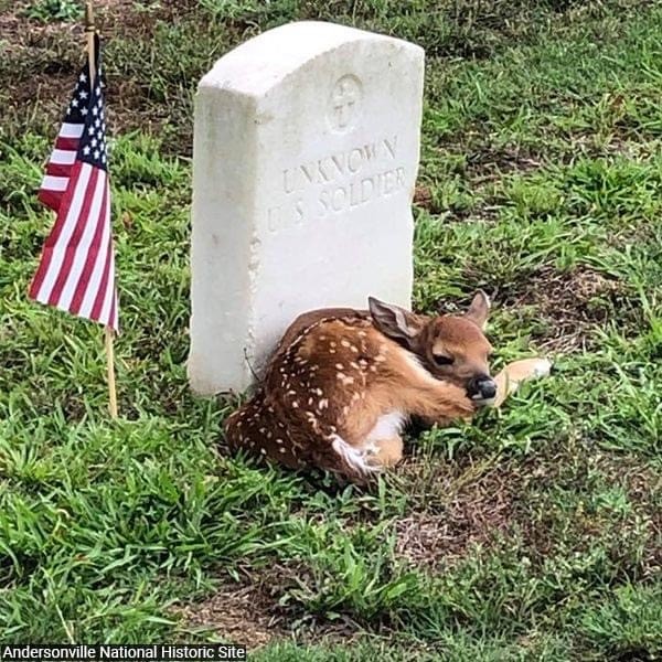 Click image for larger version

Name:	IMG_0439.jpeg
Views:	62
Size:	149.1 KB
ID:	28515