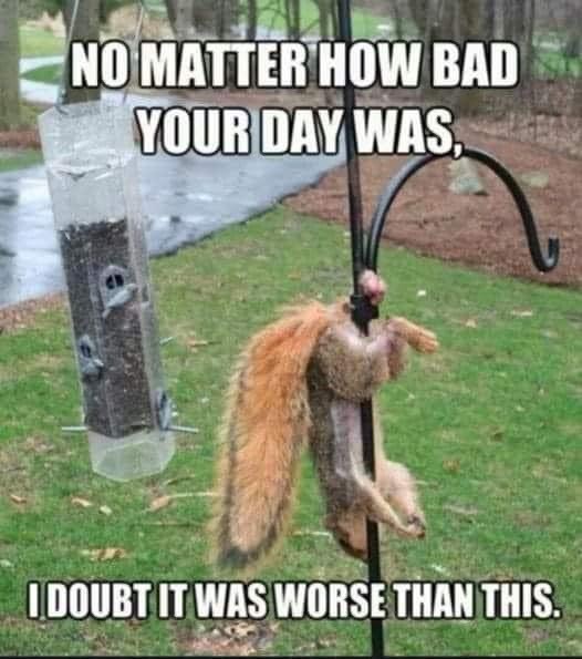 Click image for larger version

Name:	IMG_9641.jpeg
Views:	89
Size:	64.4 KB
ID:	28572