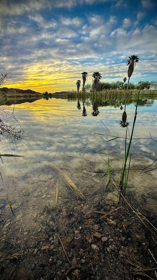 Click image for larger version

Name:	IMG_4195.jpeg
Views:	101
Size:	108.1 KB
ID:	28626