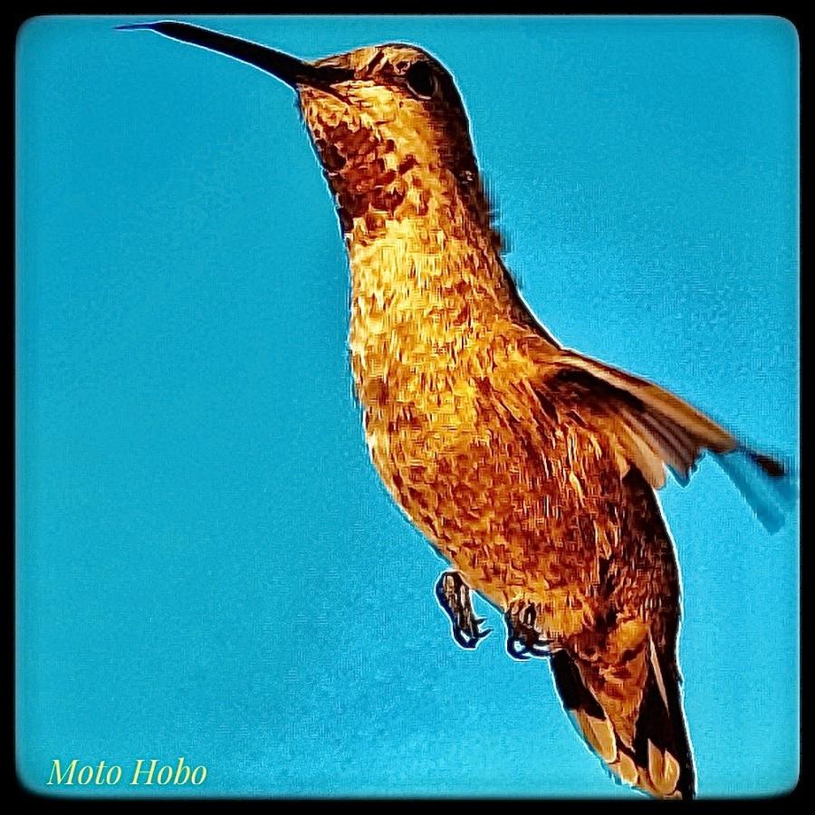 Click image for larger version

Name:	FullSizeRender.jpeg
Views:	101
Size:	134.8 KB
ID:	28628