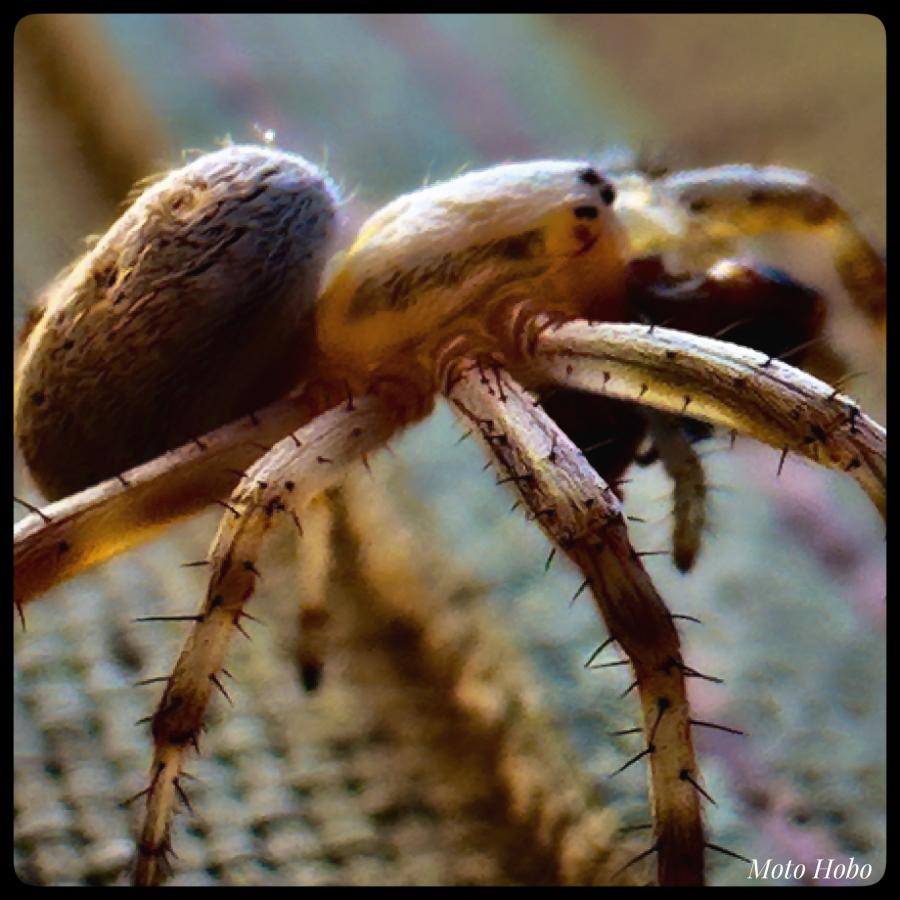 Click image for larger version

Name:	IMG_4940.jpeg
Views:	93
Size:	83.7 KB
ID:	28629