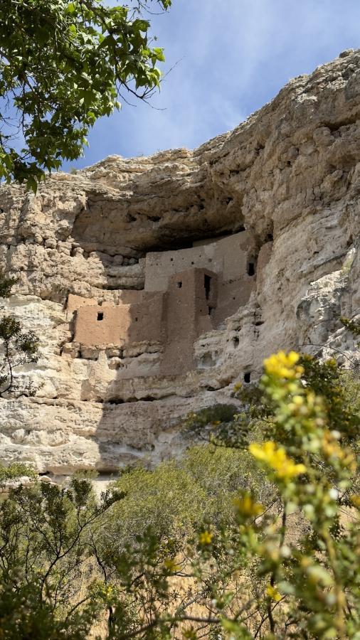 Click image for larger version

Name:	IMG_5021.jpeg
Views:	94
Size:	119.5 KB
ID:	28631