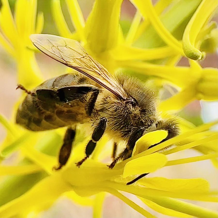 Click image for larger version

Name:	IMG_5442.jpeg
Views:	95
Size:	85.6 KB
ID:	28640