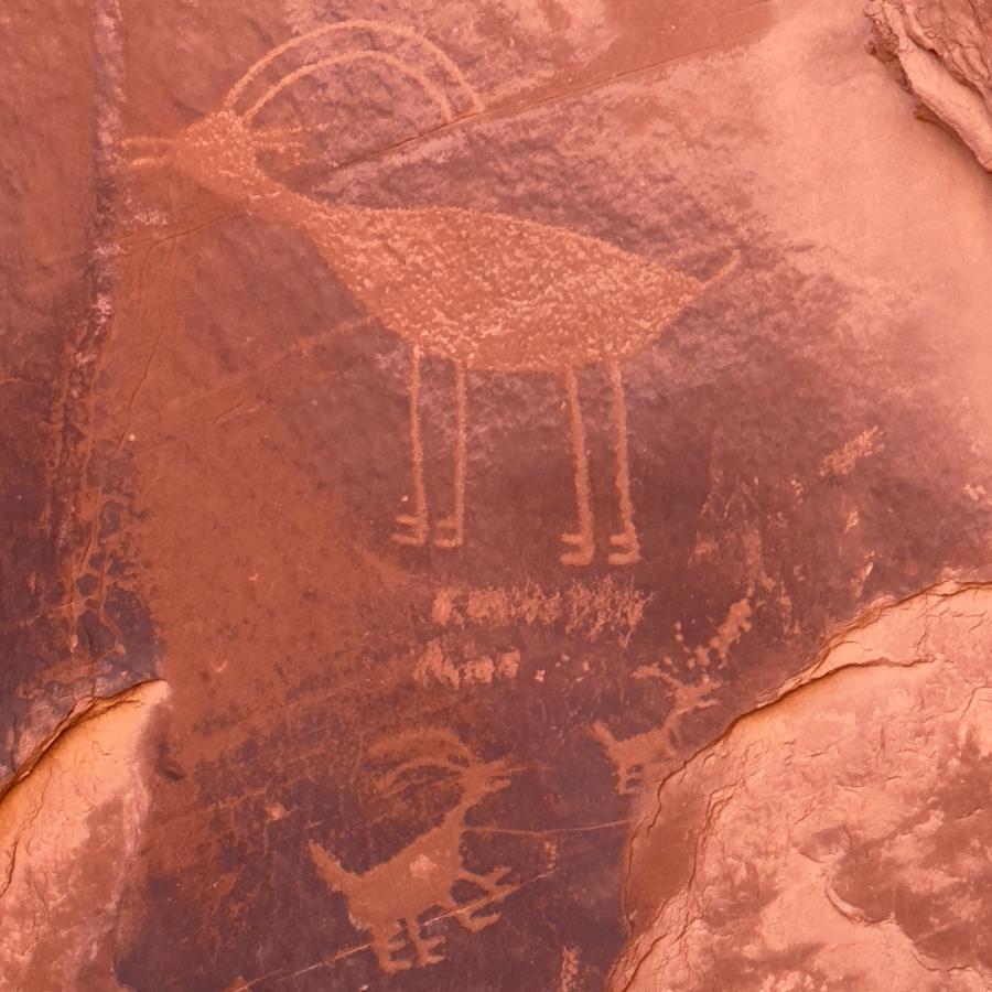 Click image for larger version

Name:	IMG_5877.jpeg
Views:	97
Size:	102.3 KB
ID:	28642