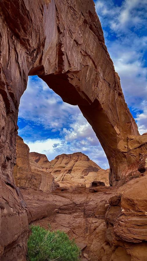 Click image for larger version

Name:	IMG_5345.jpeg
Views:	97
Size:	108.6 KB
ID:	28644