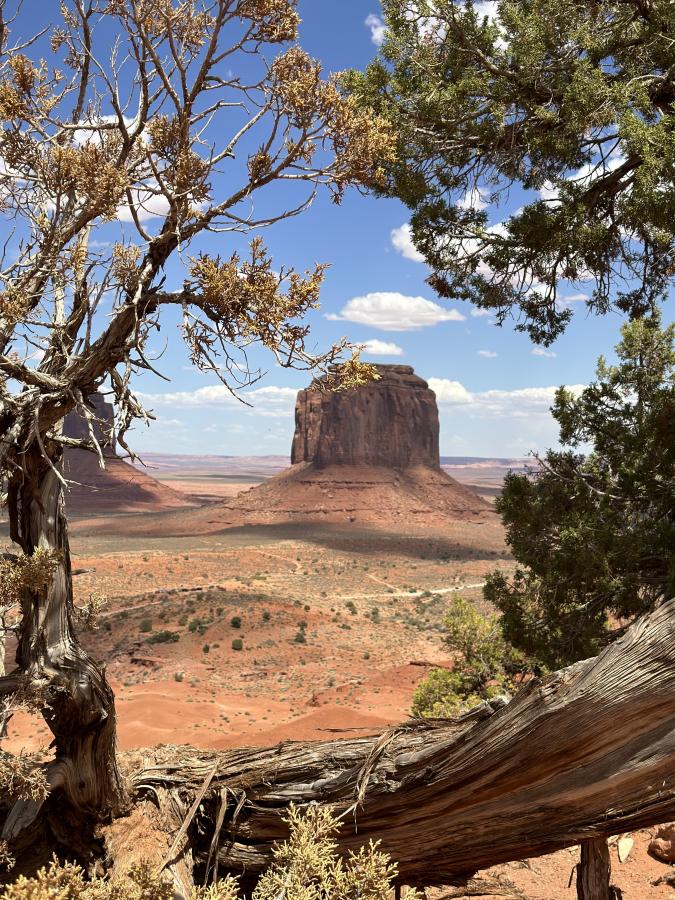 Click image for larger version

Name:	IMG_6875.jpeg
Views:	96
Size:	191.0 KB
ID:	28648