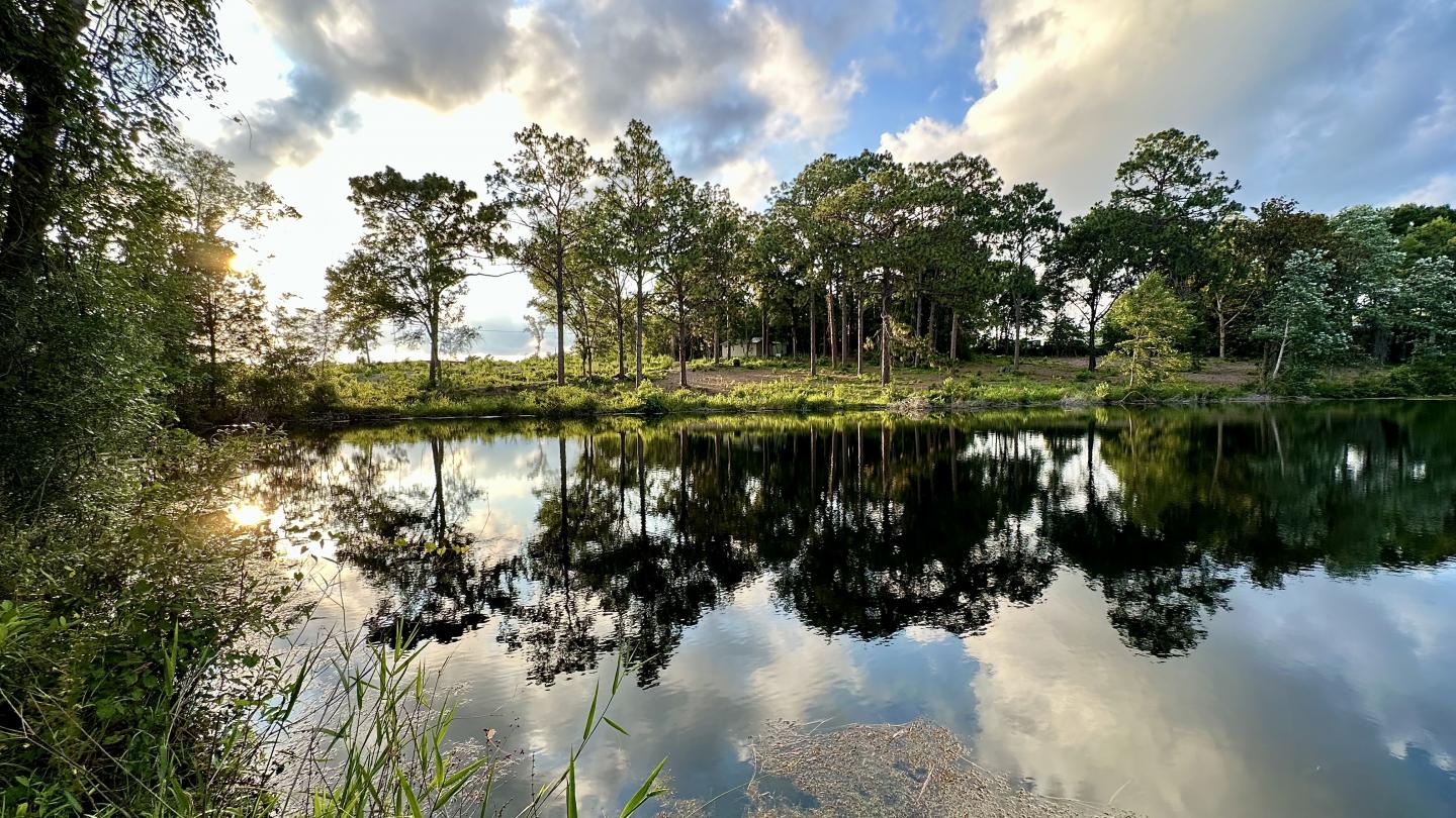 Click image for larger version  Name:	IMG_7718.jpeg Views:	0 Size:	303.8 KB ID:	28685