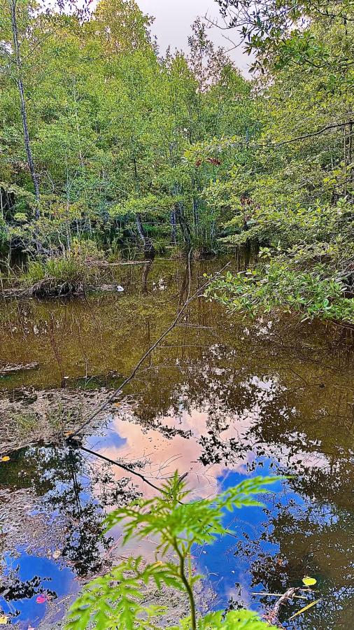 Click image for larger version

Name:	image_6831.jpg
Views:	89
Size:	192.9 KB
ID:	28687